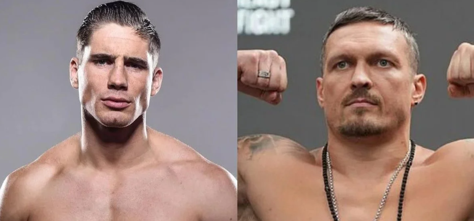 Usyk vs Verhoeven boxer info, fight analysis & betting guide 2026