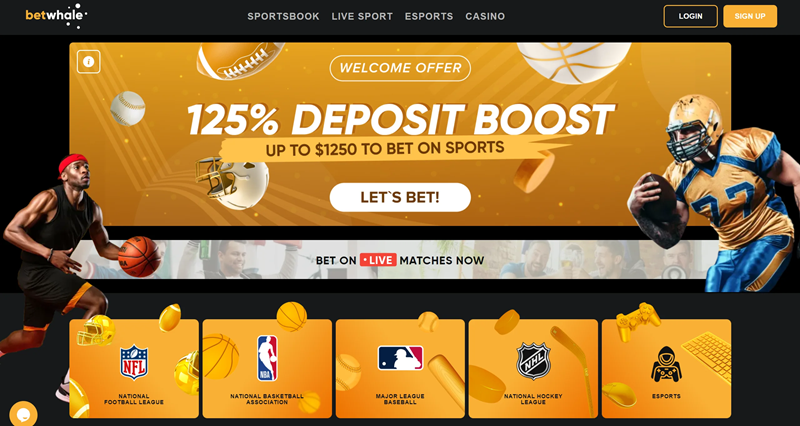 No Deposit Bonuses at Betwhale Sportsbook